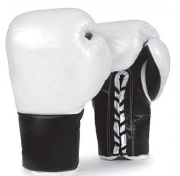 Boxing Gloves H1122
